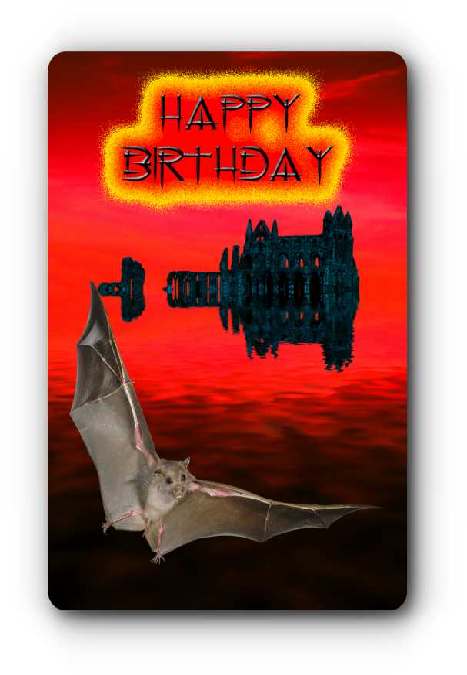 Birthday Card